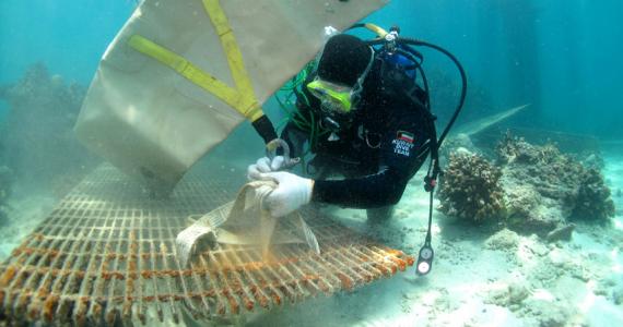 Kuwait Dive Team lifts three tons of waste from Garooh Island 