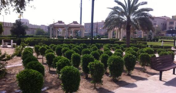  Agricultural beautification project starts across Kuwait 