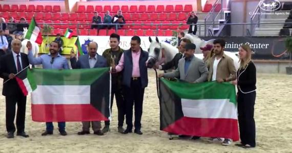  Kuwait wins gold medal at international horse show